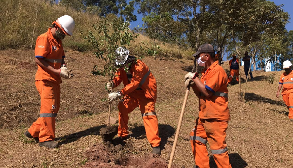 três funcionários com uniformes laranja luvas botas capacetes e máscaras realizam o plantio de árvore em área pública da Rua Padre Aldemar Moreira